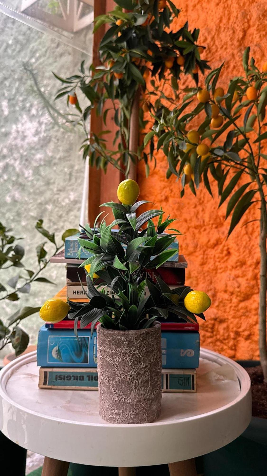 Limon Hotel أديرني المظهر الخارجي الصورة